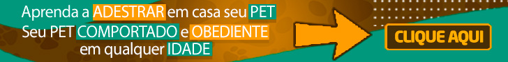 Adestrando seu Pet em Casa